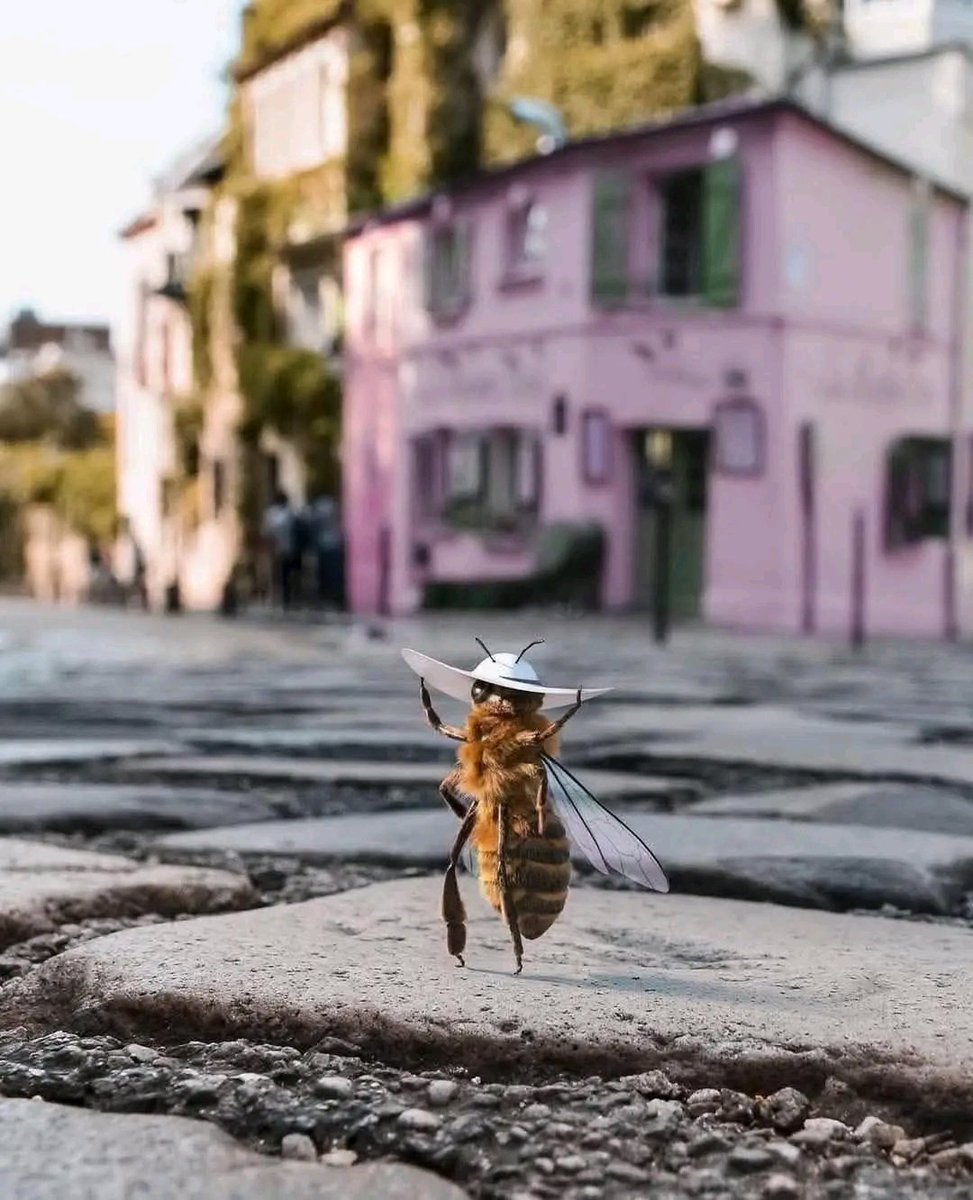 Hjuman....da odmoram i ja,ok😎