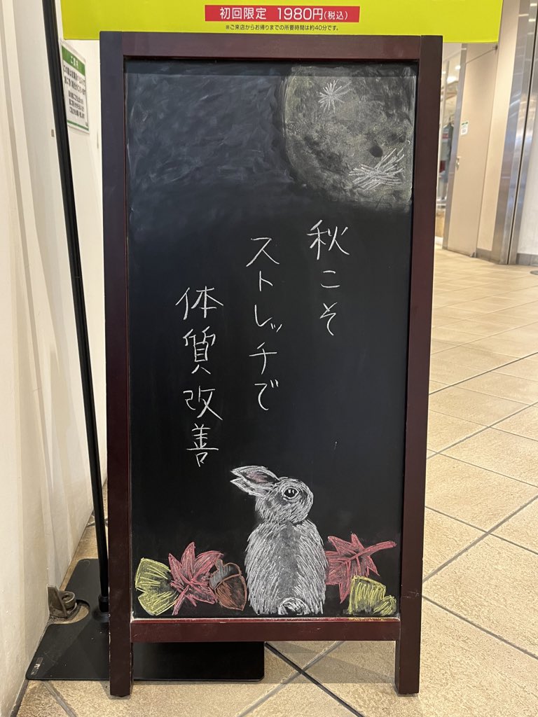 鈴木 友紀 tweet media