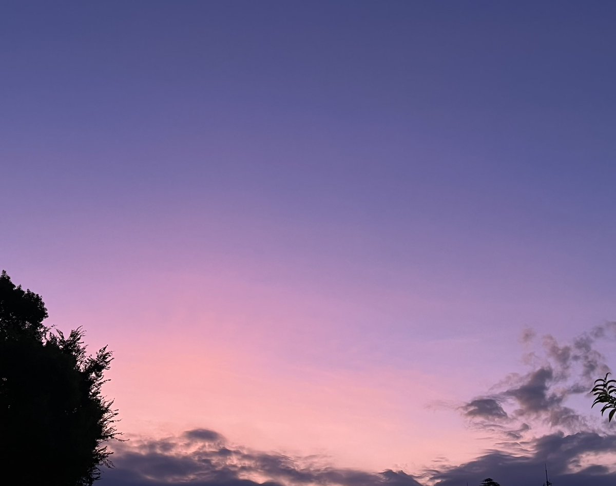 少しずつ秋の気配が🍂
在宅でPCを触っていると、意識して外を見ないとですが、ちょっとずつ季節が変わってきているなぁと感じます。
たまには空を見上げてみましょう✨
今週も楽しみながら頑張りましょう😊