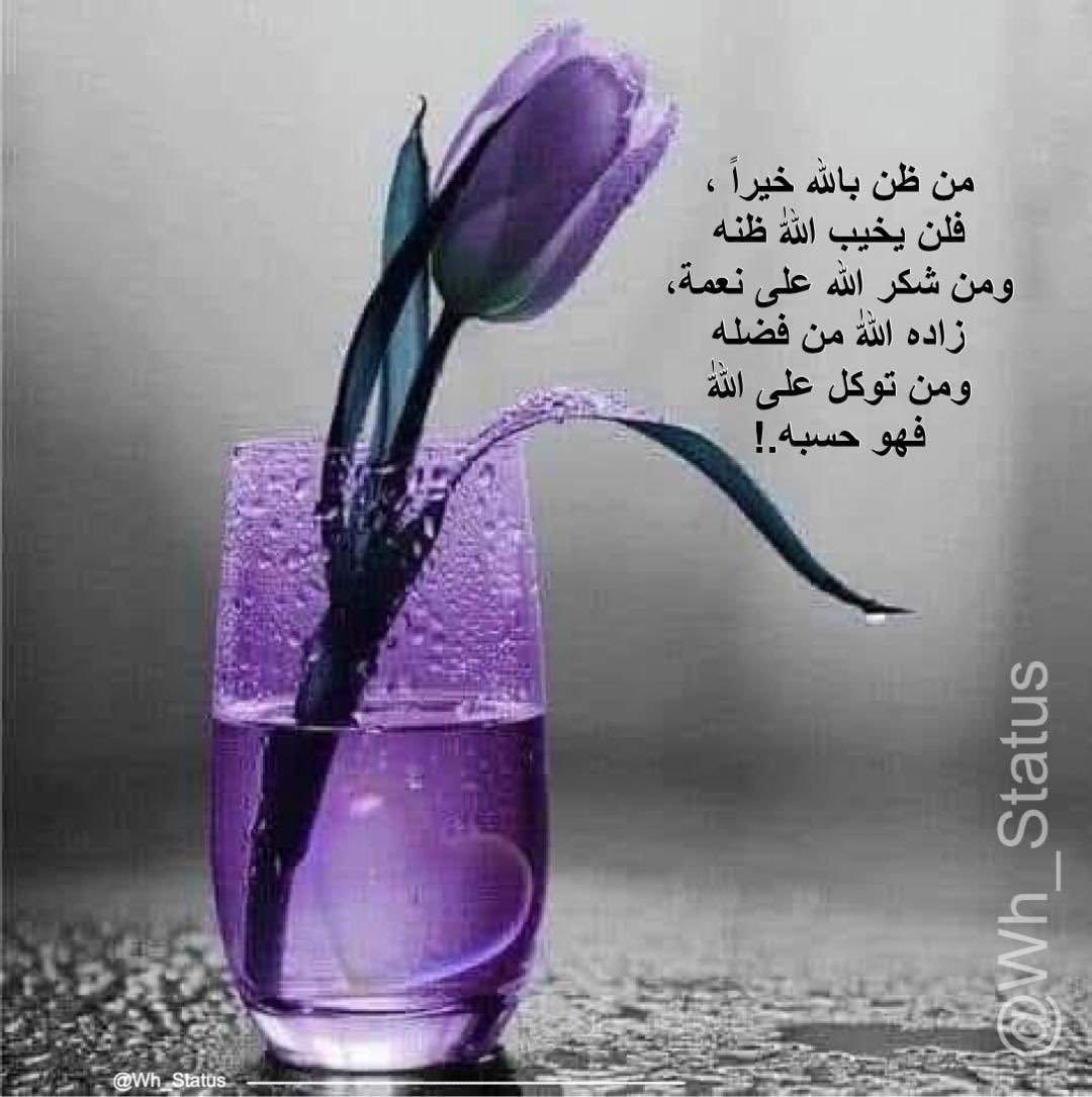 Wh_Status's tweet image. .
من ظن بالله خيراً فلن يخيب الله ظنه
ومن شكر الله على نعمه زاده الله من فضله
ومن توكل على الله فهو حسبه .
#حالات_واتساب