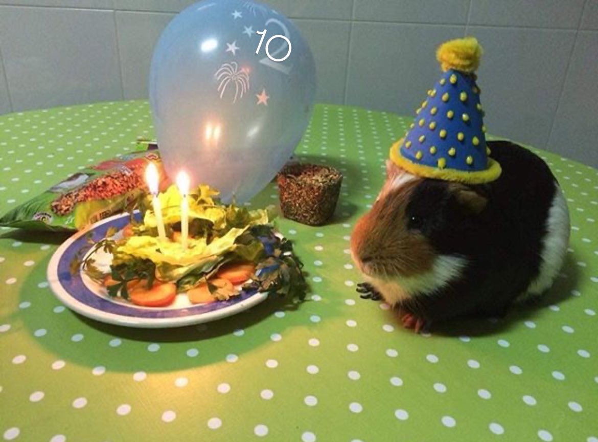 앞으로 더더 행복하쥬아 

#데이식스의_빛나는_10주년_축하해
#DAY6_10th_Page