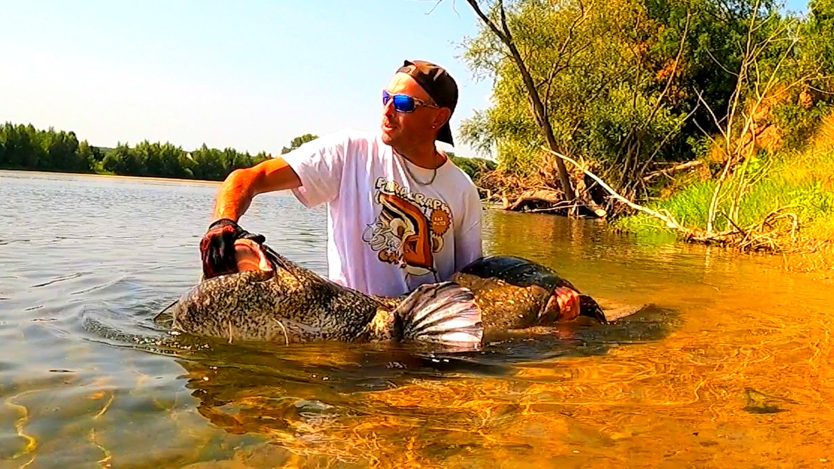 Que je les aime ces silures 😍
#silure #fishinglife