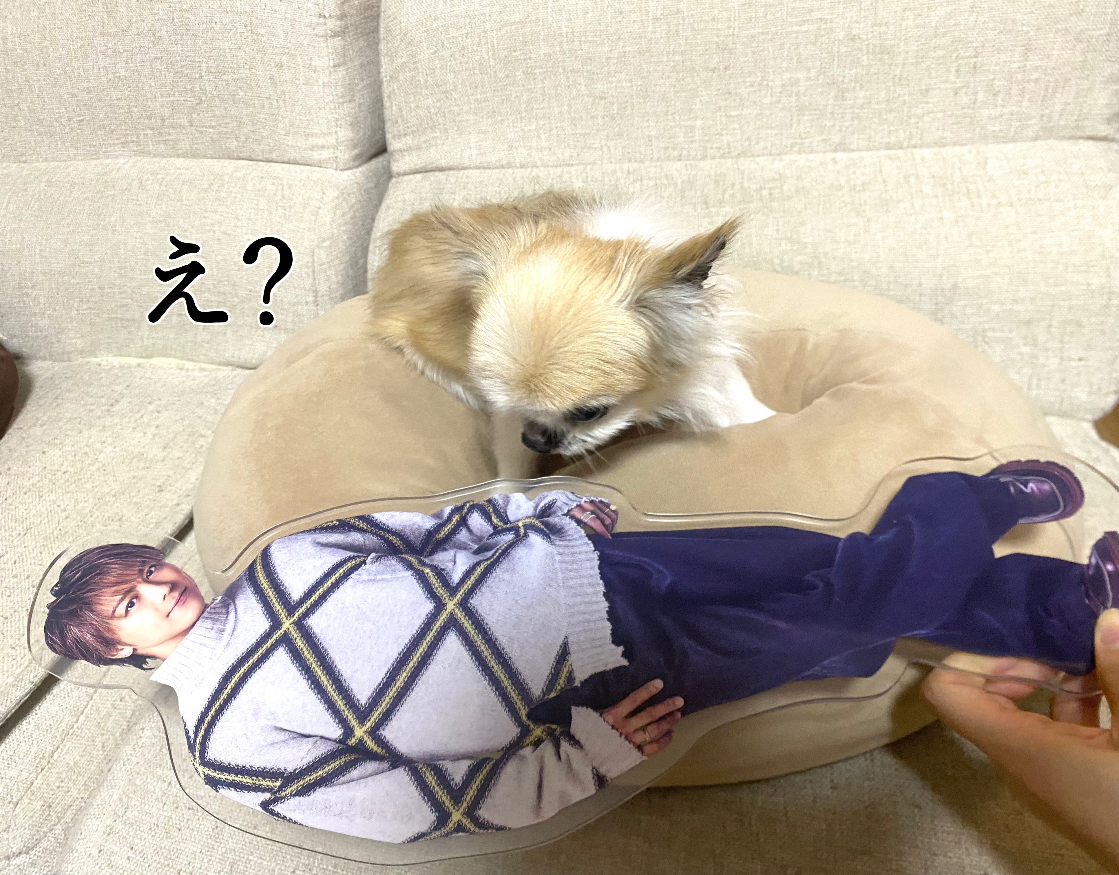 涙に濡れたヒロイン on X: 