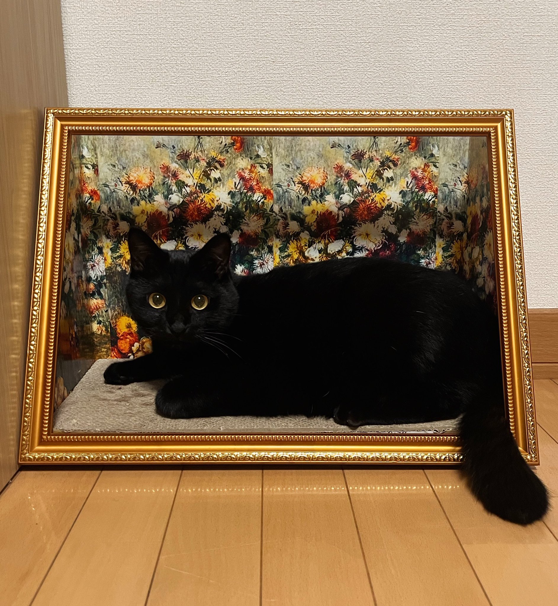 くろねこ はにゃ束ねこ（くろねこロンT-青バラ）黒生地 | A BECKONING CAT