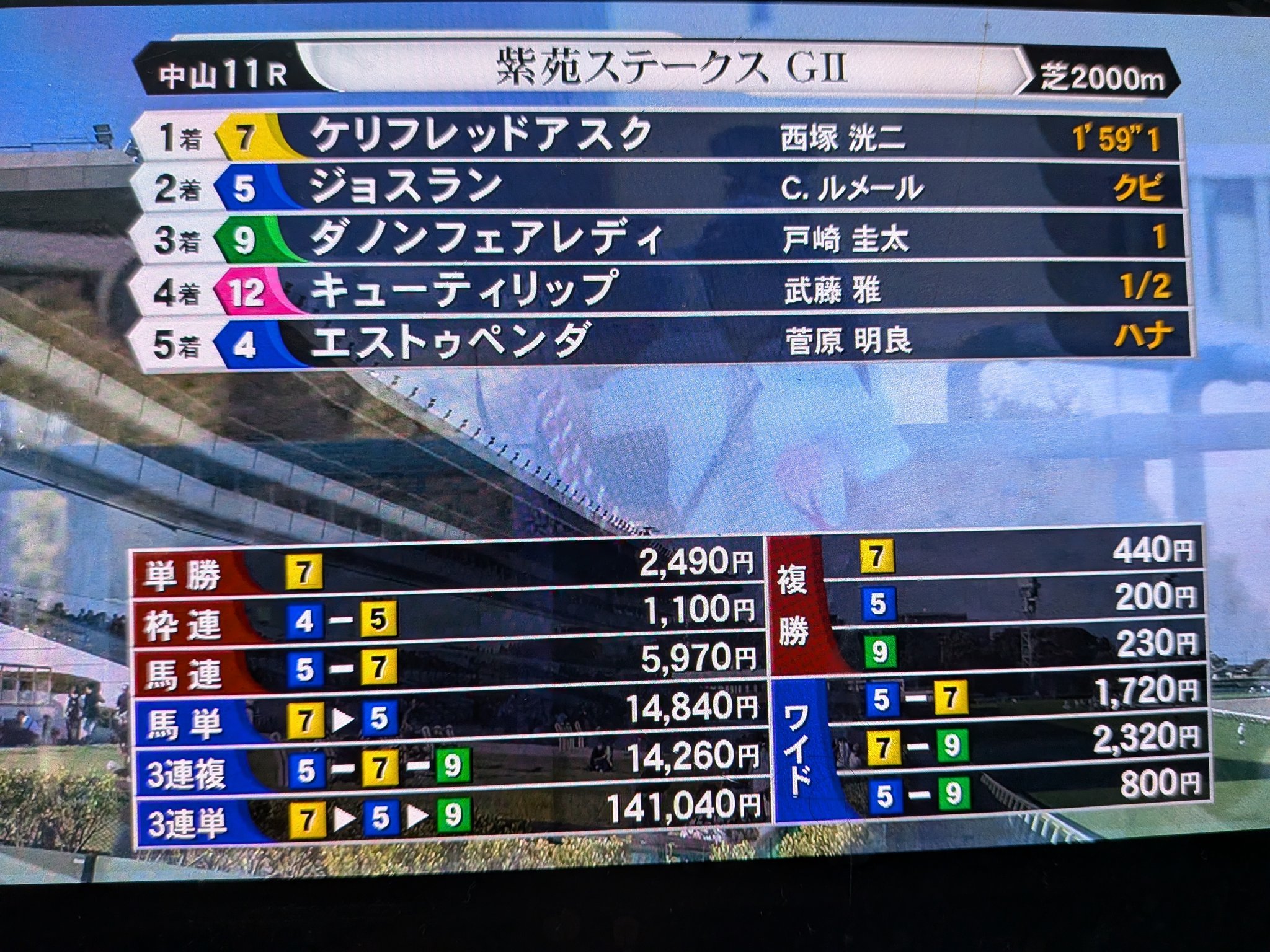 雲の上 らにゃーにゃ🦏 on X: 