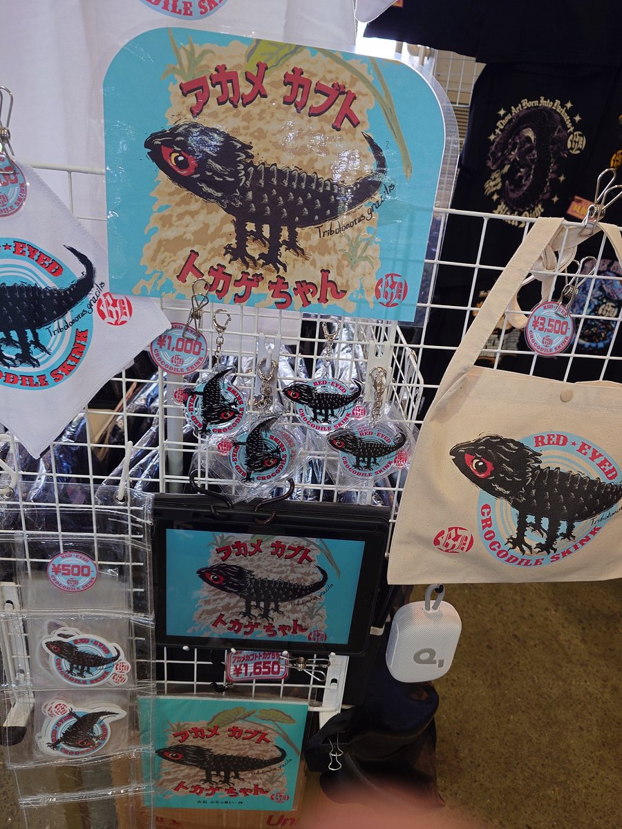 ぼく、アカメカブトトカゲだよっ
アカメ~カブト~トカゲちゃんは
ニューギニア島に住んでいる
今日、何回、何百回聞いただろうかＴシャツ屋さんブースが真横だった
冨様の気持ちが良くわかった…
許可をもらって撮影しましたあ
本日、絡んでくれた方々に感謝感謝で能登に帰ります