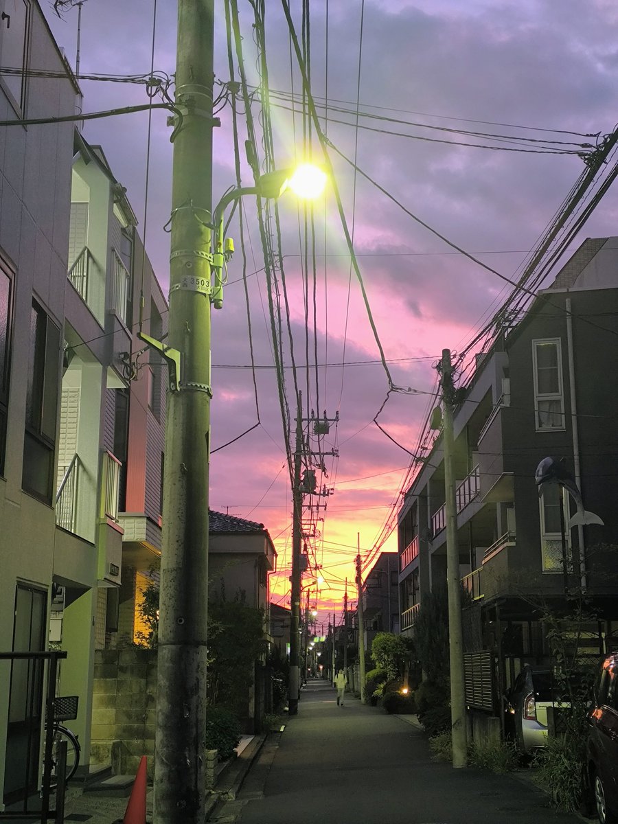 Открытка из Токио, сентябрь 2025