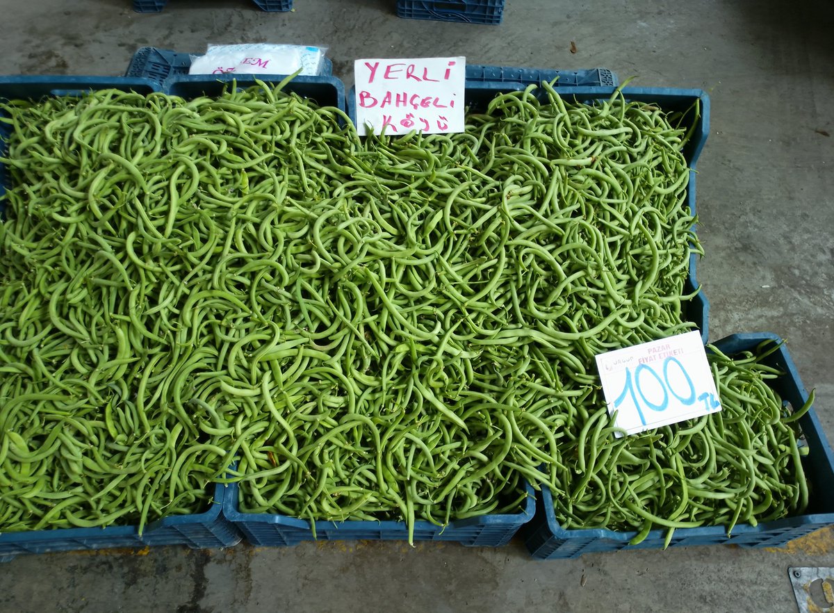 Yine yeni yeniden. Hazırsanız başlıyoruz.