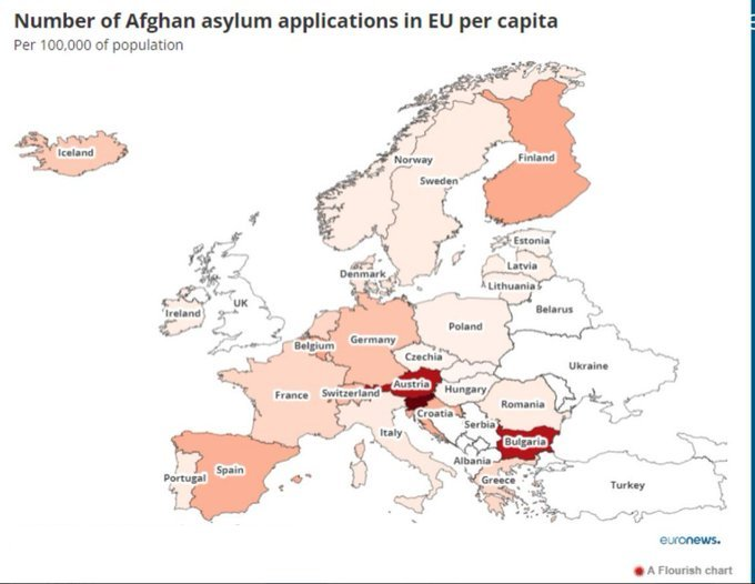 Kje so feministke ?
Afganistanske ženske umirajo v ruševinah potresa, ker se jih moški reševalci nočejo dotakniti.‼️
Golob in Levica sta poskrbela, da imamo v Sloveniji največ ilegalnih migrantov iz Afganistana glede na število prebivalcev. Sami moški 
telegraph.co.uk/world-news/202…