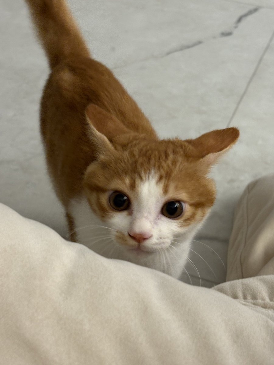 이만큼 흥분한건 또 처음봄
진짜 처음보는 표정