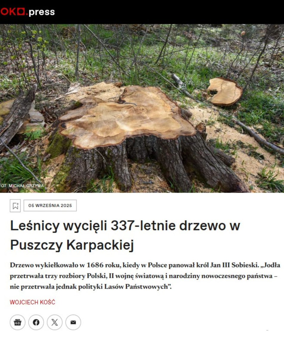 To drzewo miało 337 lat.
Zostało wycięte w #NadleśnictwoStuposiany, w lesie, który od dawna powinien zostać objęty należną mu ochroną.
Tymczasem leśnicy chcą tu ciąć przez kolejną dekadę.
Dlaczego, <a href="/hennigkloska/">Paulina Hennig-Kloska</a>, <a href="/DorozalaMikolaj/">Mikołaj Dorożała</a>, <a href="/donaldtusk/">Donald Tusk</a>, gdzie obiecywana ochrona 🌲🌳?