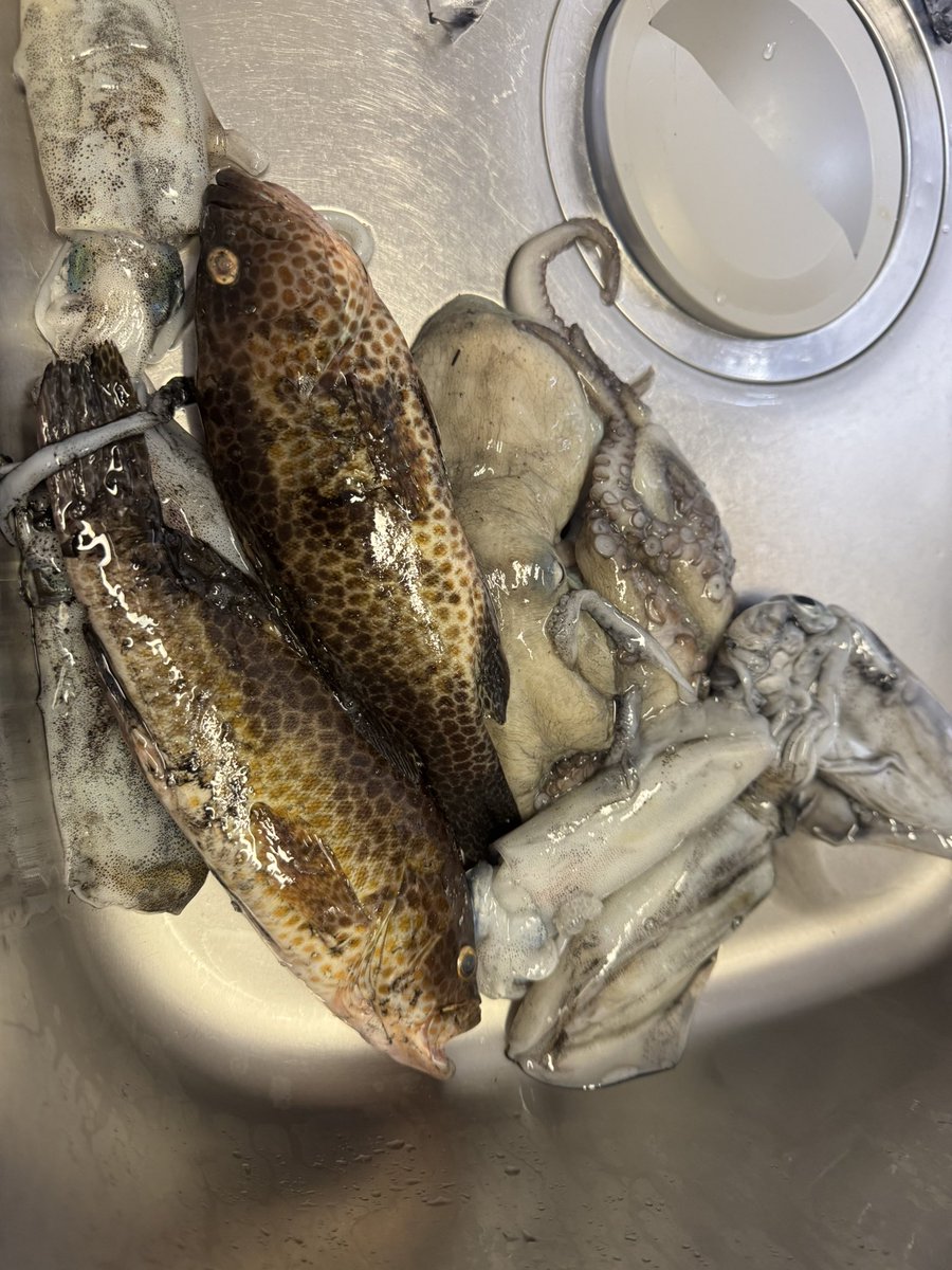 ありす tweet media