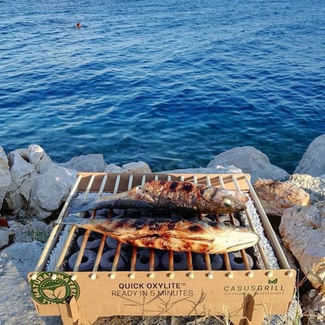 We love fishing and grilling 🎣 🐟 #casusgrill 
We caught the fish, we gut the fish, we cleaned the fish, we grilled the fish, we ate the fish... What a brilliant day 💙💙💙💙💙💙💙💙💙💙💙

#grillnation #grill #yummyfood #foodie #instagrill #foodie😍 #hunger #dailyfood