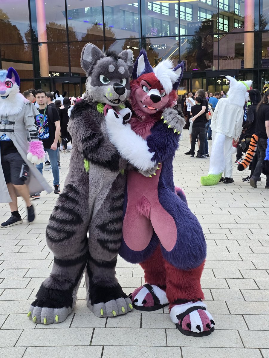 Found this adorable <a href="/ZackHusky/">Wacky Zacky</a> at #EF29. Hes very cute, thank you for taking a picture with me💚

📸 <a href="/ScharasTheFolf/">ScharasTheFolf 🇩🇪 🔜 NFC</a>