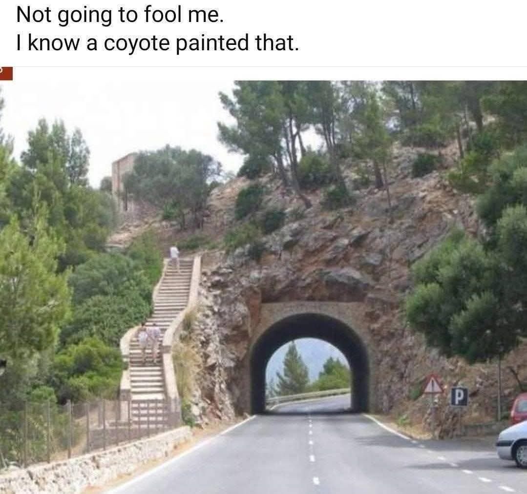 Could I fool you?