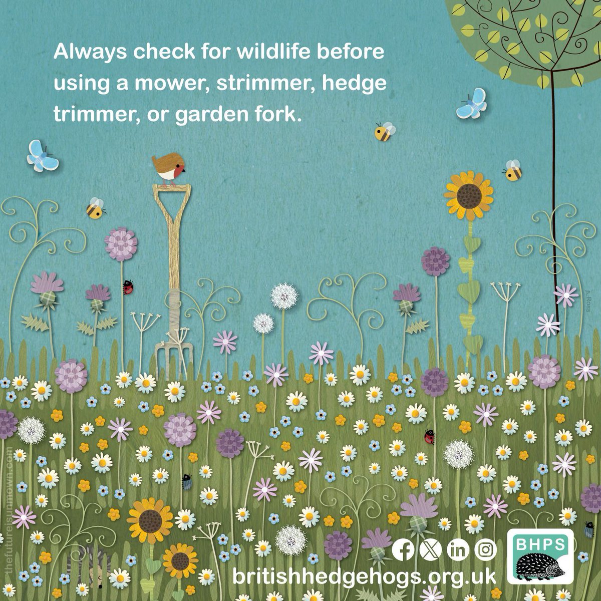 This Sunday we're asking you to #ShareToMakeAware!
🦔 👨🌾 🚫 
Always check for #hedgehogs &amp; other wildlife before using a mower, strimmer, hedge trimmer or garden fork! 

#ShareSunday #SundayShare