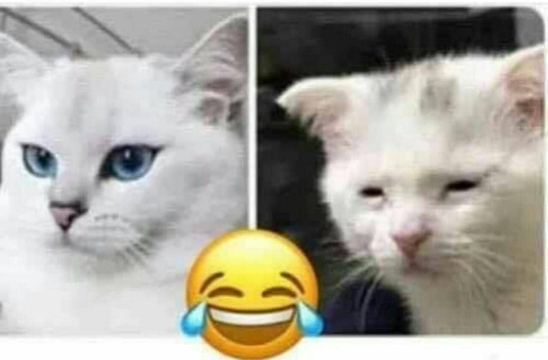 البنت لما تمسح الايلاينر 😂