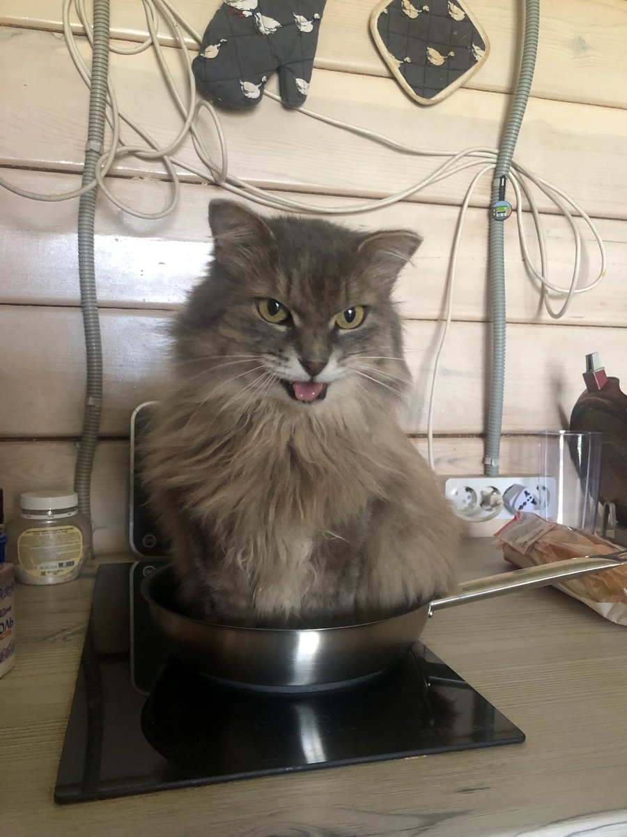 Страдающее Средневековье tweet media