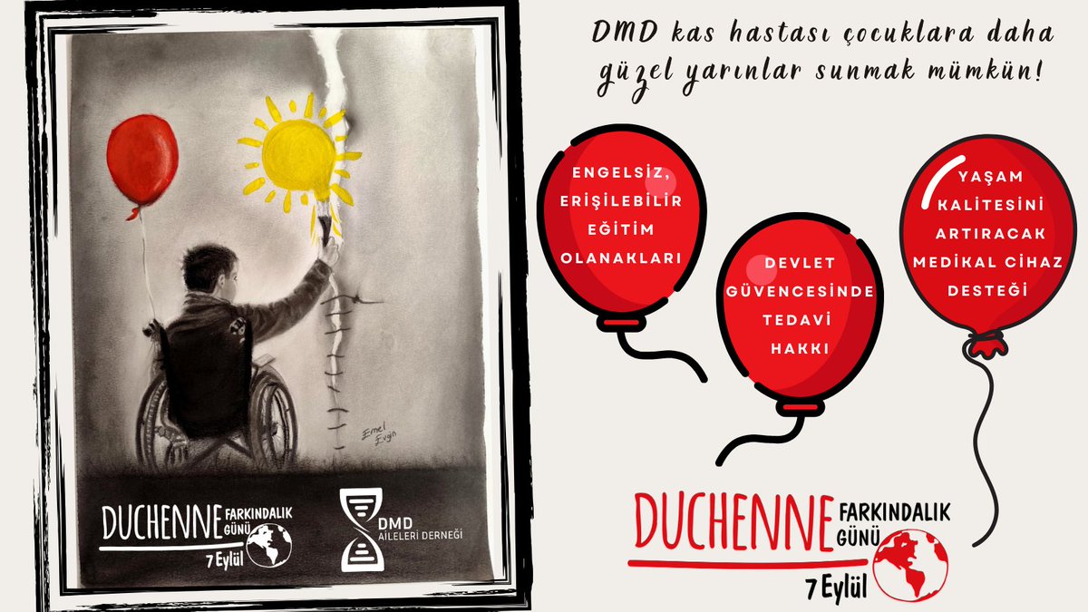 Dmd_aileleri's tweet photo. Her DMD’li birey, adil bir geleceğe umutla bakmak ister:

🎓Engelsiz eğitim olanakları
🩺Yaşam kalitesini artıran cihaz desteği
🇹🇷  Etkili tedavilere devlet güvencesinde erişim

🎈7 Eylül Dünya Duchenne Farkındalık Günü’nde DMD’lilerin sesini duyurmak için sen de destek ol! 🎈

#WDAD2025 #worldduchenneawarenessday 
#7eylülduchennefarkındalıkgünü
@DuchenneDay @worldduchenne
