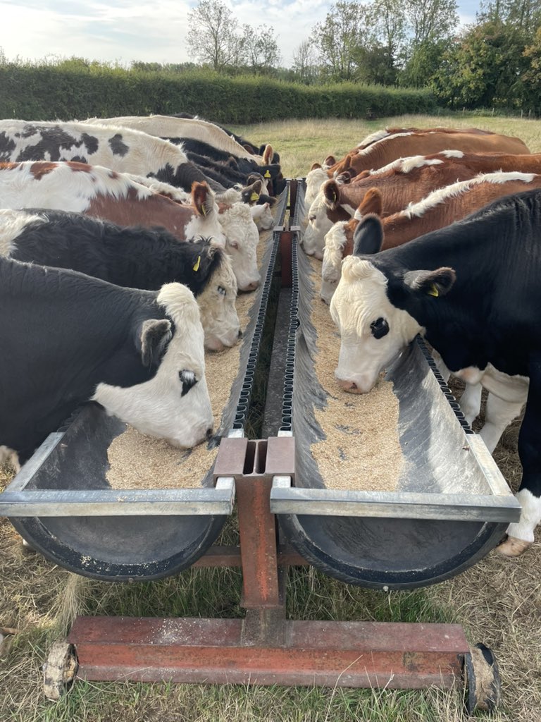 Breakfast is served 😋