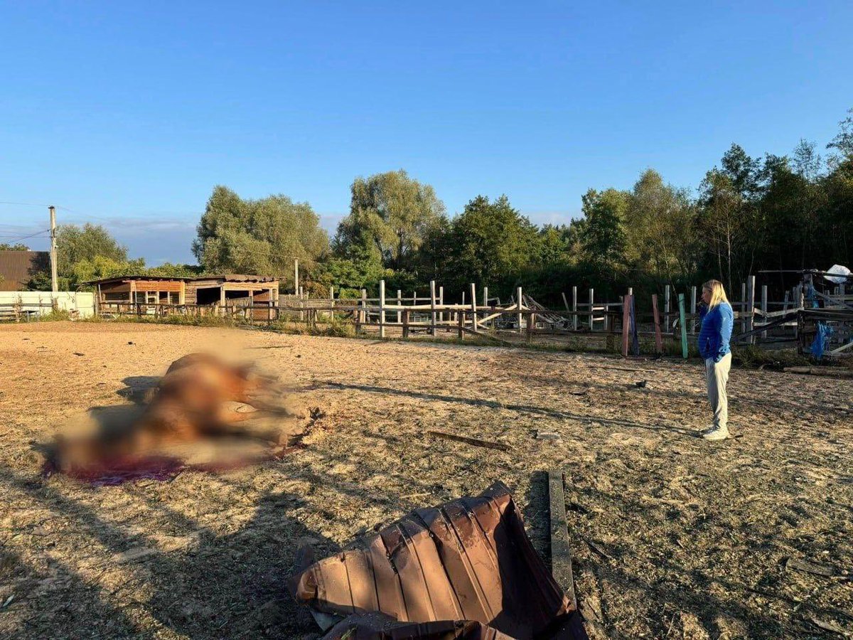Russia struck a horse club in Kyiv with three Shahed drones, killing innocent animals.