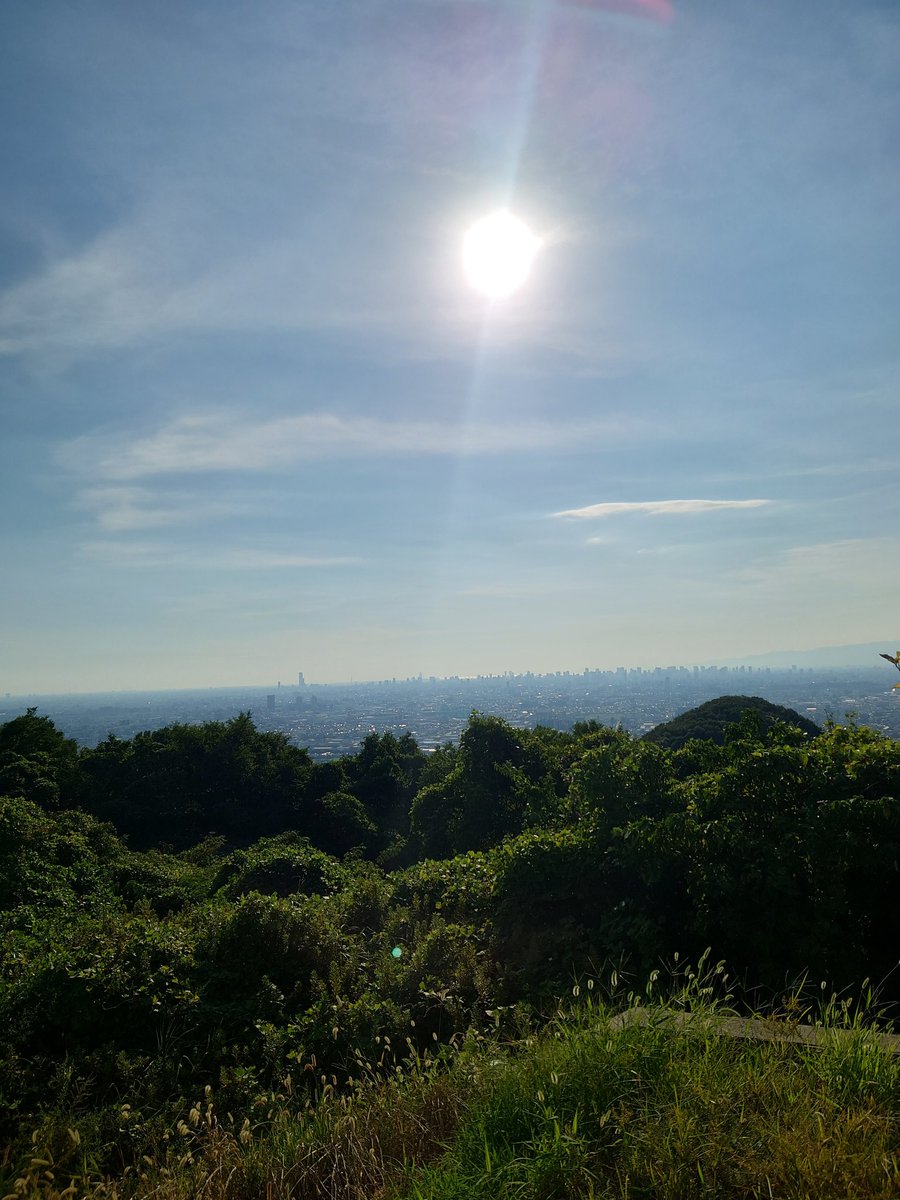 etoilebleue2010's tweet photo. 昨日から謎の緑の光が写り込む… https://t.co/rZPCQdJ7Mg