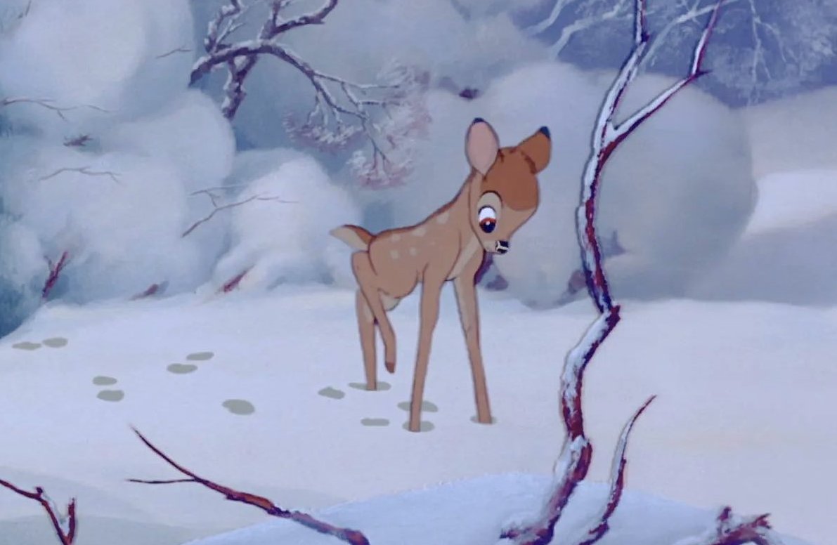 ♡ (@dreamyyarchive) on Twitter photo 