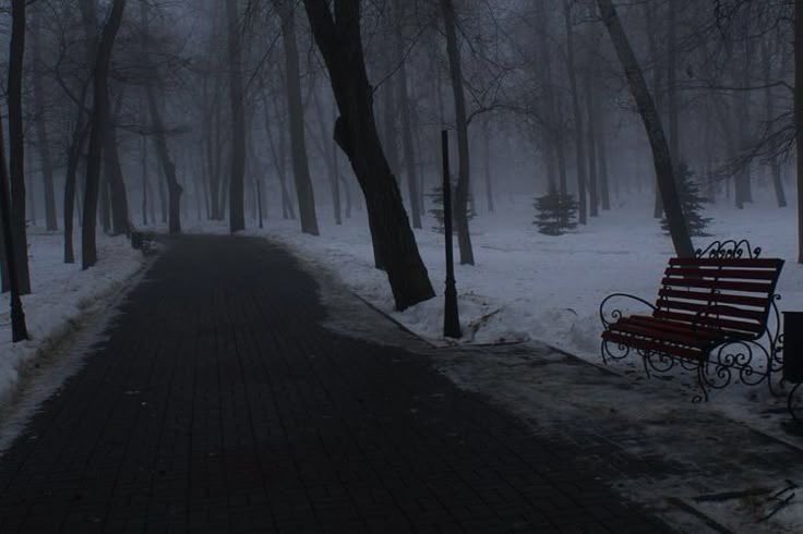 ancilladominii's tweet image. 