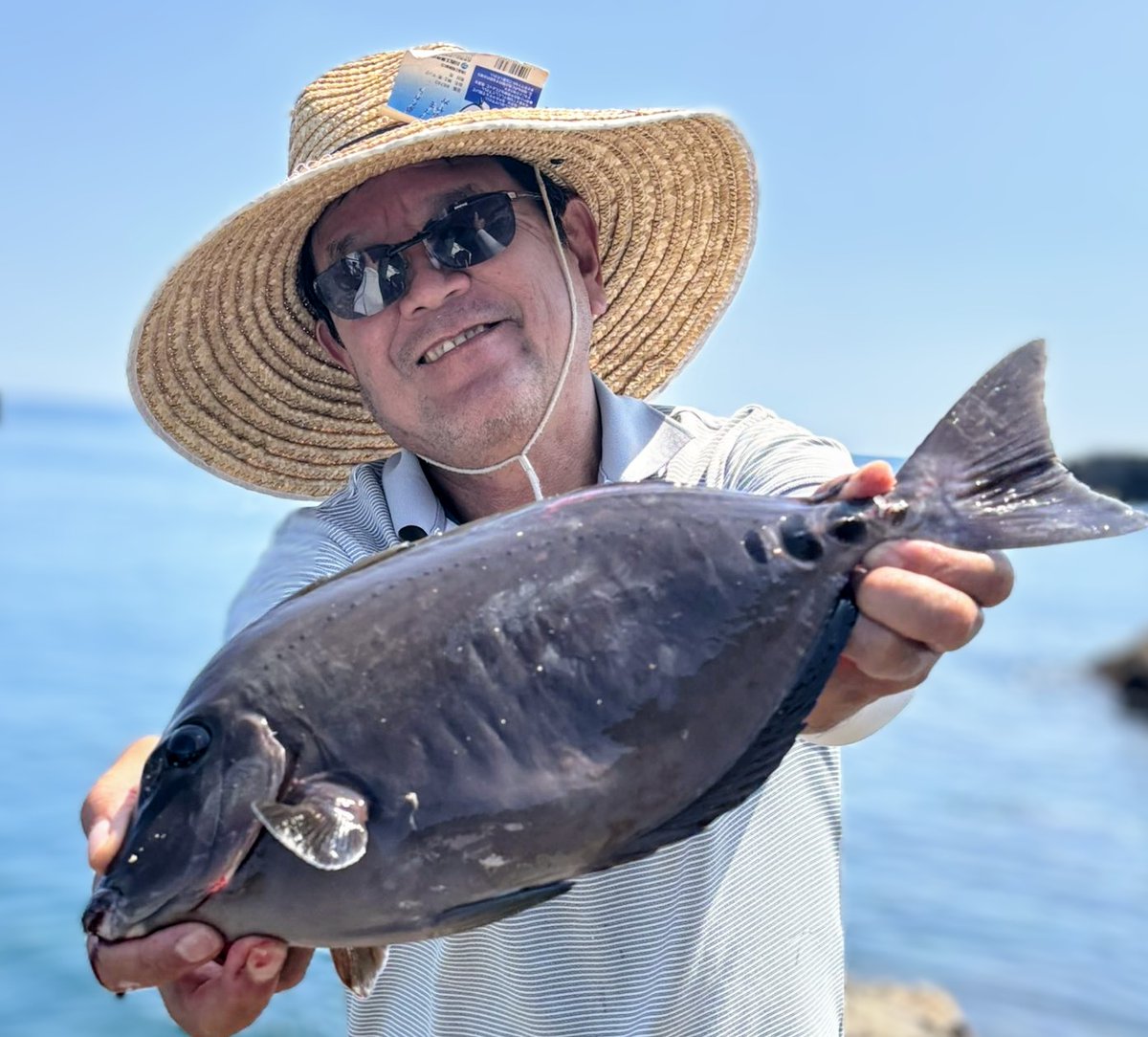 ロイロイして困ります。