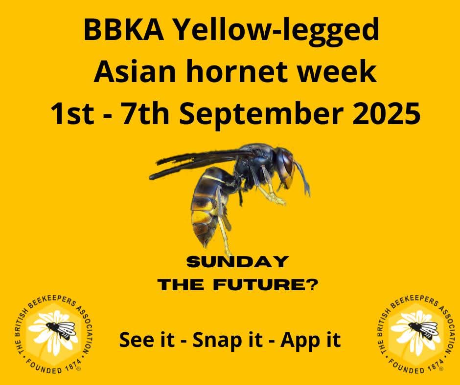 BBKA (@britishbee) on Twitter photo 