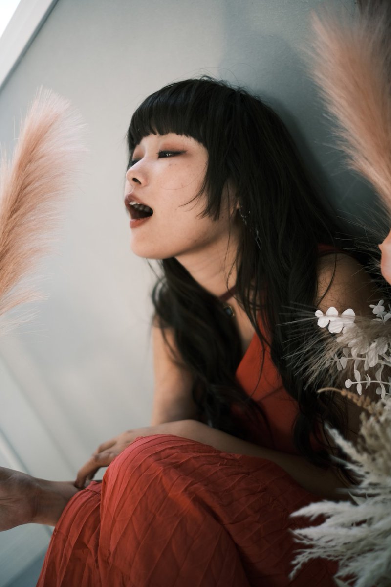 むらさき様 ZX-25R ZX25R SE KRT 2BK-ZX250E ヘッドライトレンズカバー