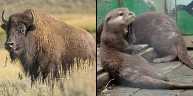 hilareloas tweet media