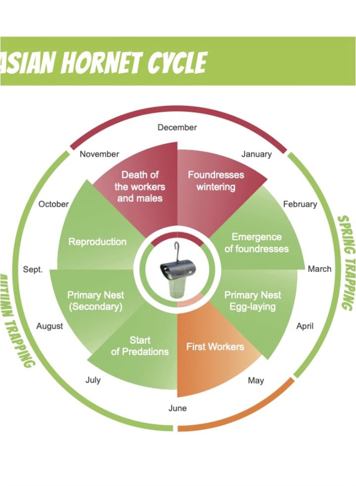 irishbeekeepersclg tweet media