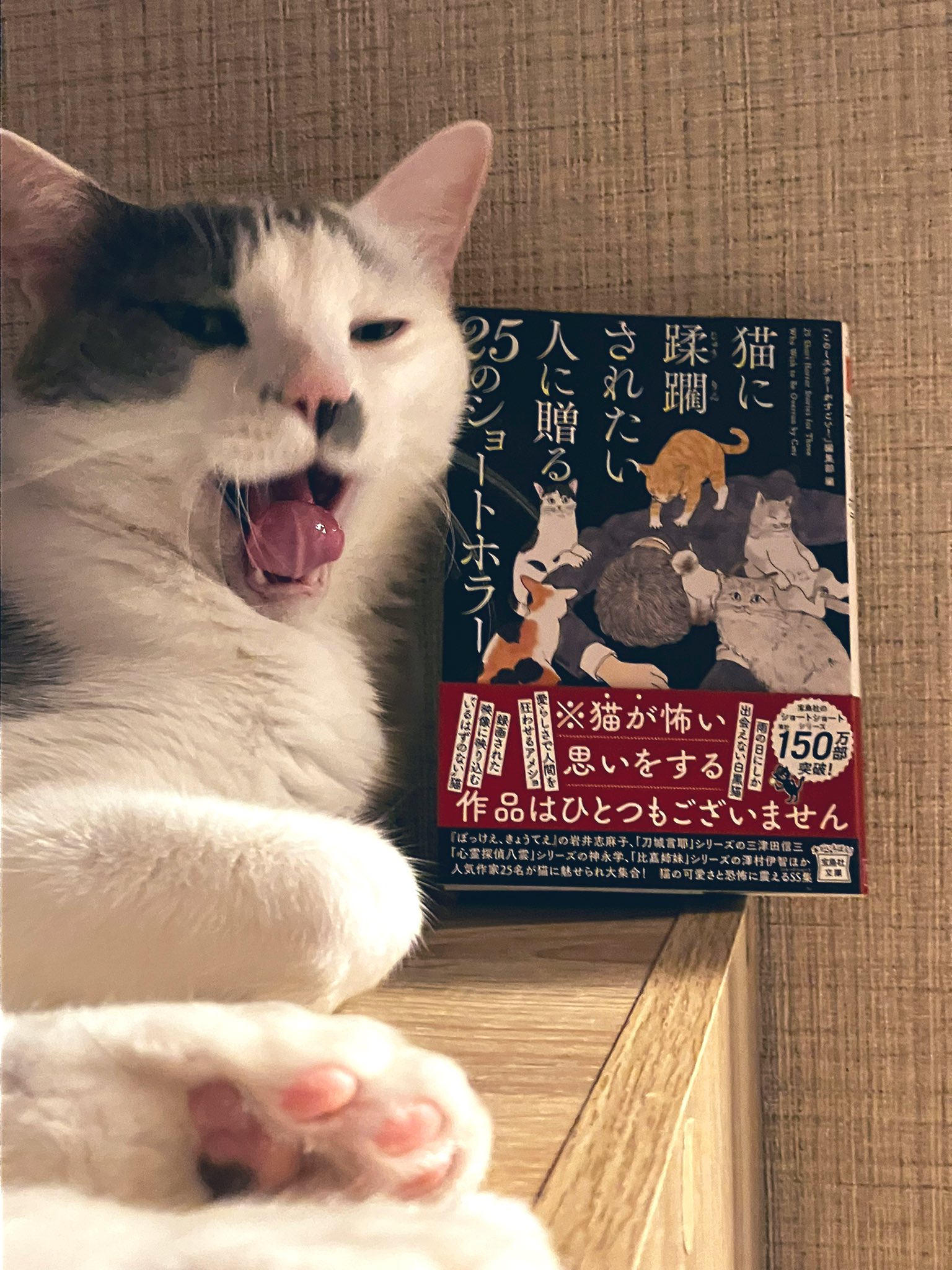 深夜猫様 購入ページ ちよまる on X: 