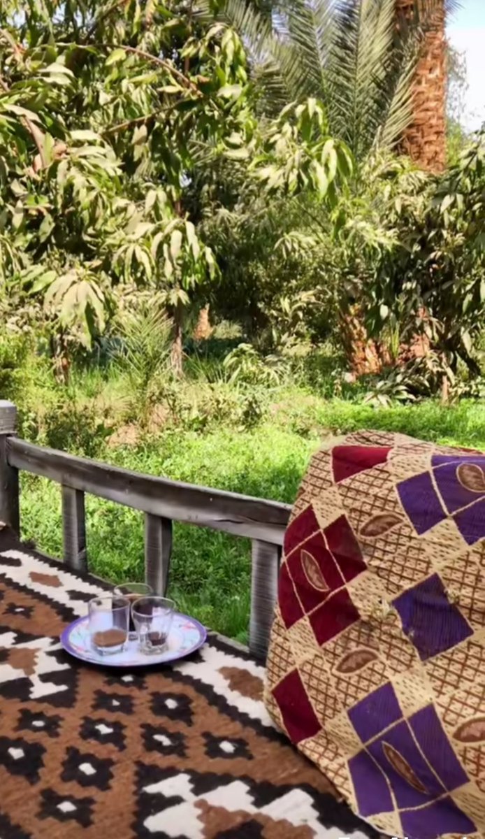 صباح السعاده 🌺