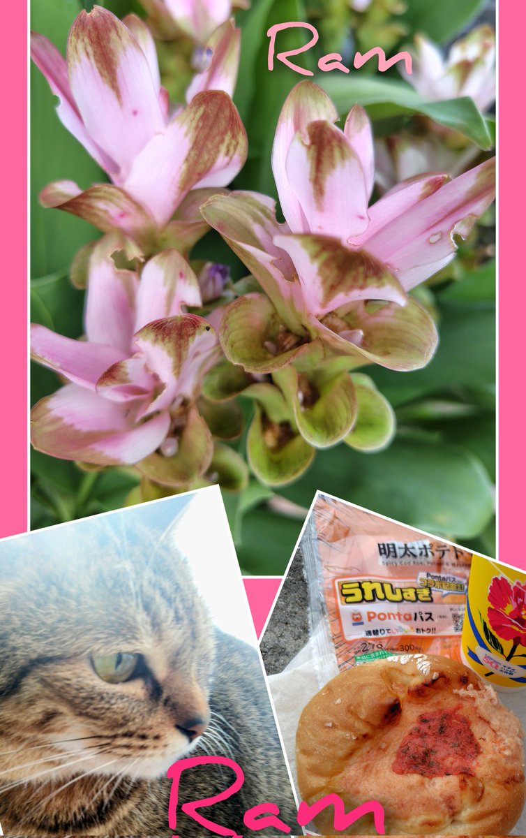 okav.com | [H有碼]小女ラムネ 第3話 ゆかたと花火と夏祭り [喵萌奶茶屋].bkj\, image size:754x1200