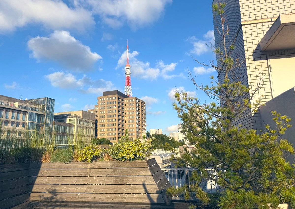 撮るシチュエーションはよかったのに、影担当の私にエモの才能なさすぎてちょっとおもろい写真になっちゃった…