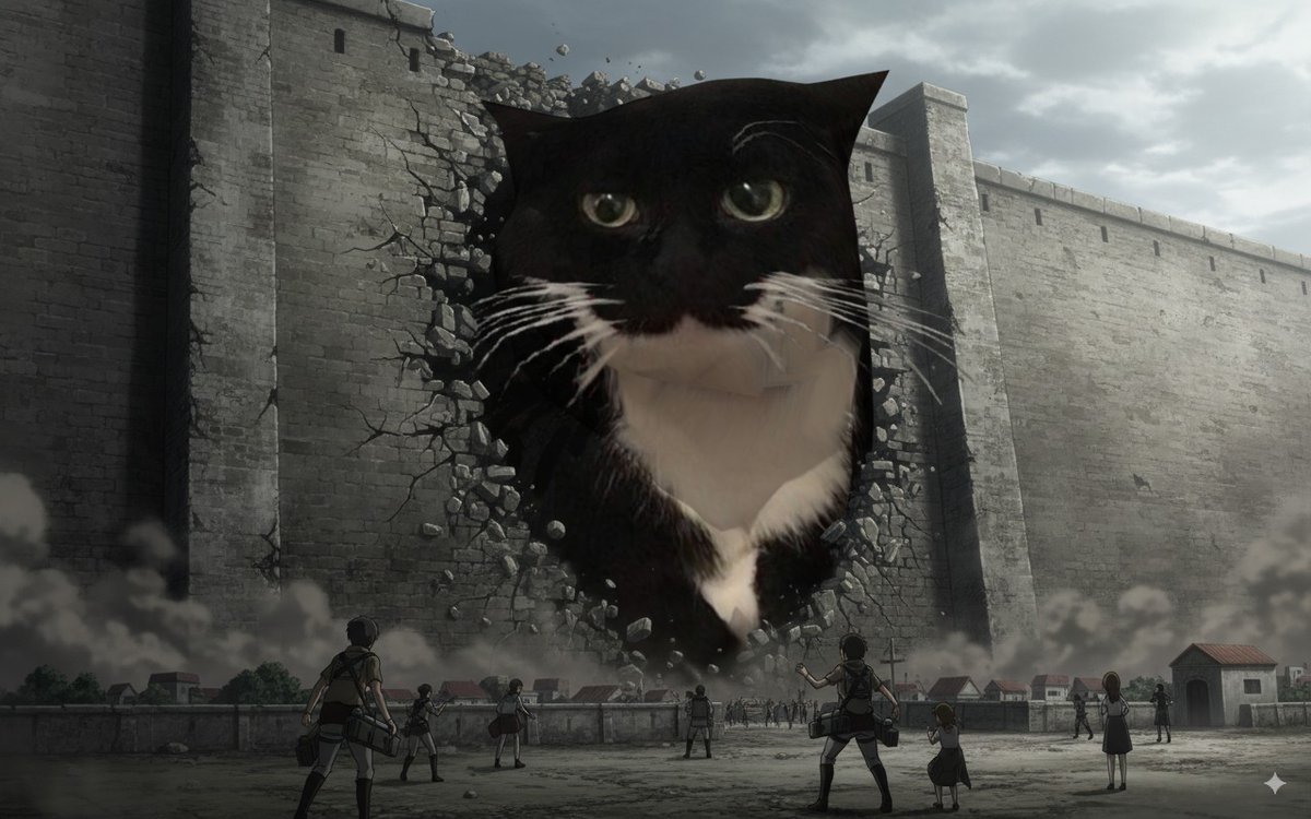 gm humans! #Maxwell $SPINCAT