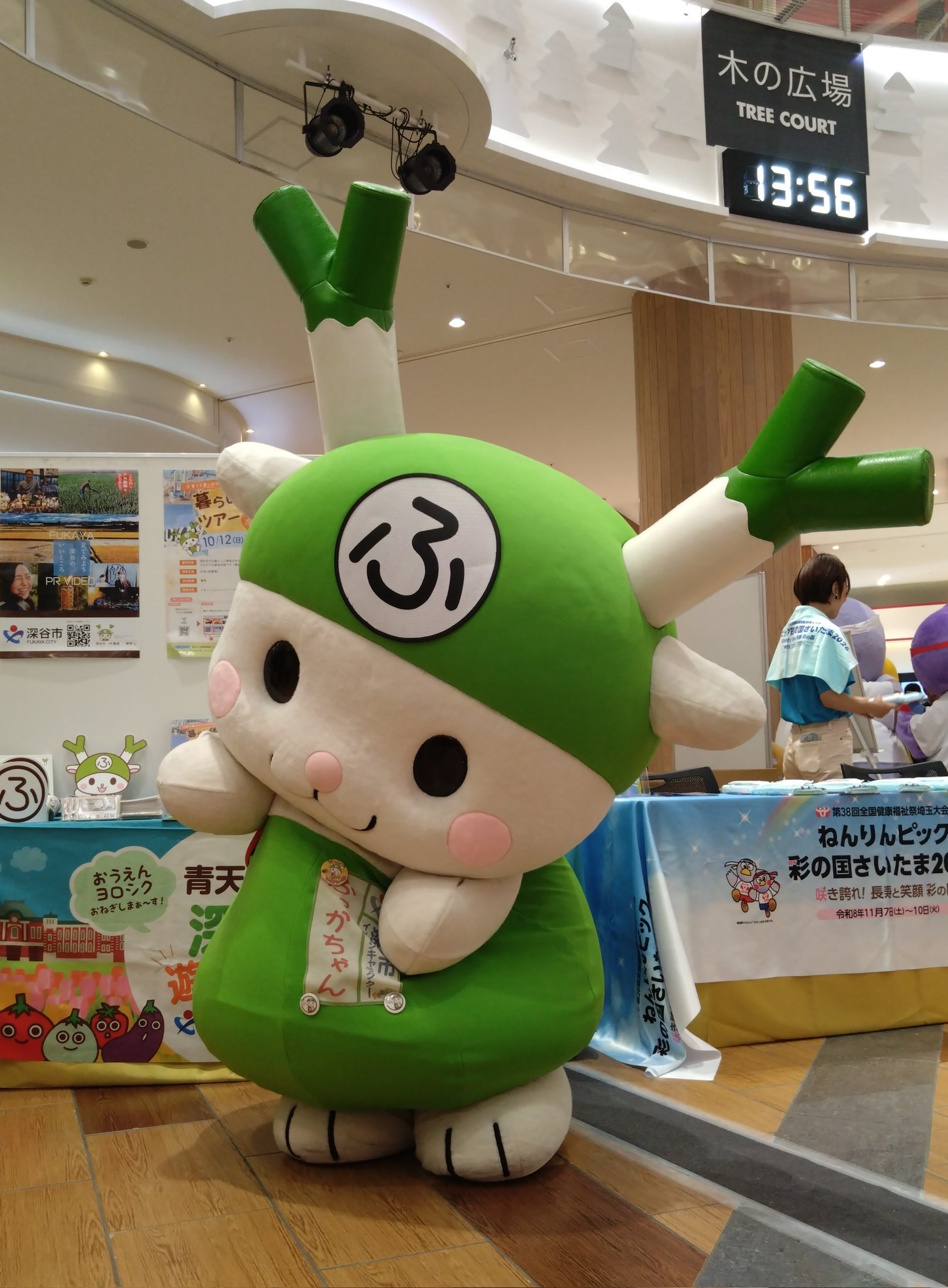 ふっかちゃんページです！2点セットアップ ふっかちゃんページです！2点セットアップ ふっかちゃんページ