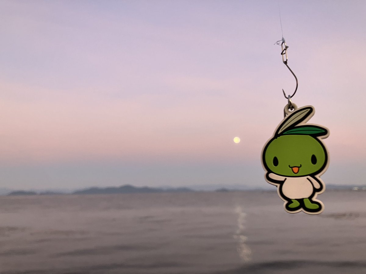 今夜は元気だったら皆既月食見に行こうかな