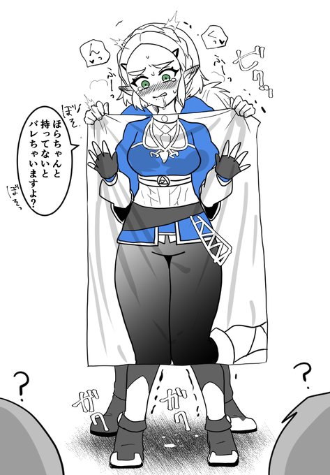 ゼルダ様プリントシーツの正しい使い方がコレよ 