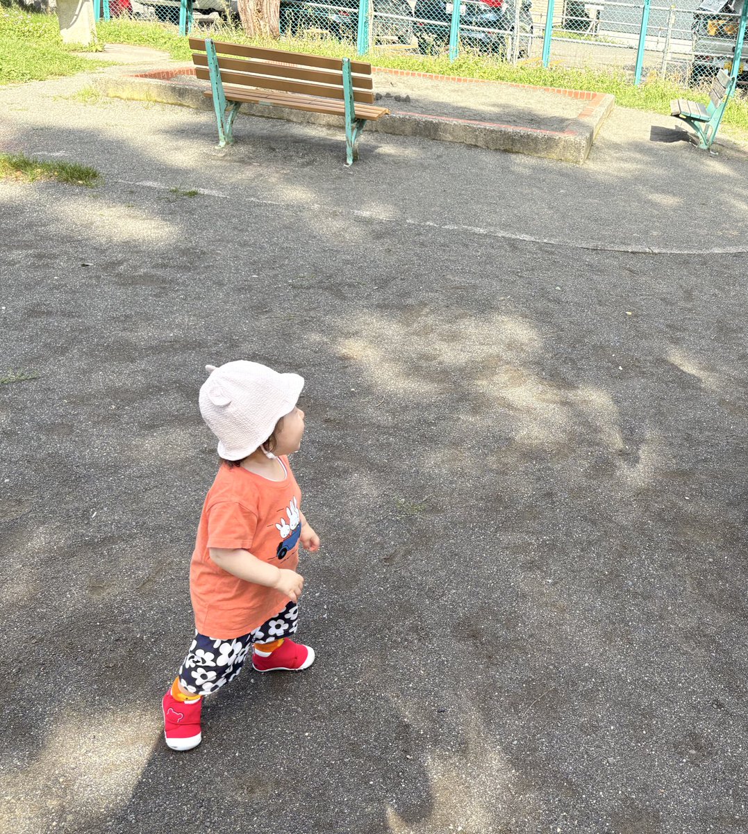 mikan440's tweet photo. お外で遊べるようになりました https://t.co/eC2sa3XYub