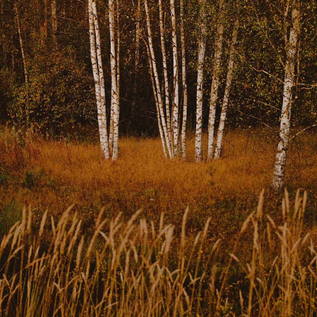 вчера был такой вечер