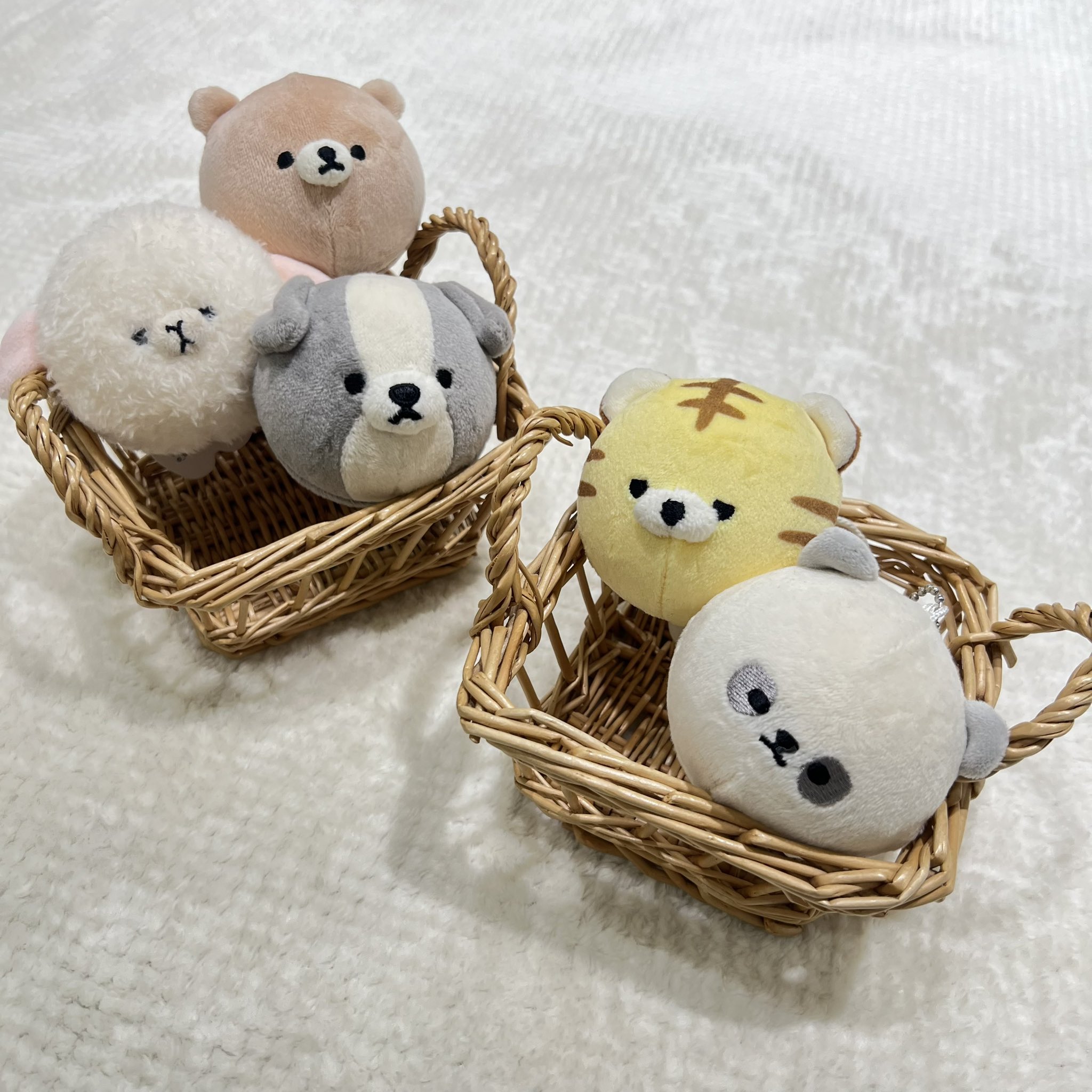 MOFMOFRIENDS【公式】 (@_MOFMOFRIENDS_) / X