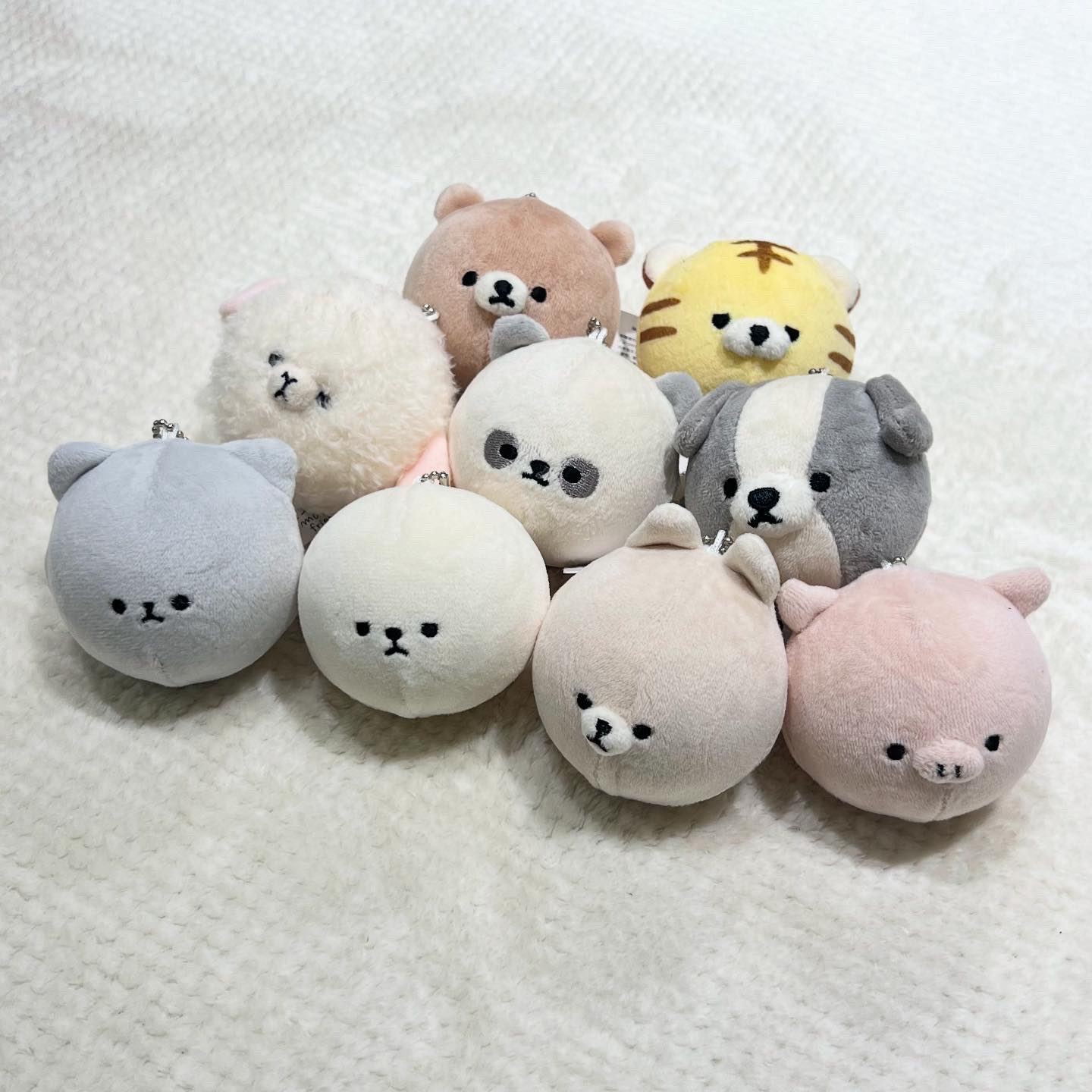 MOFMOFRIENDS【公式】 (@_MOFMOFRIENDS_) / X