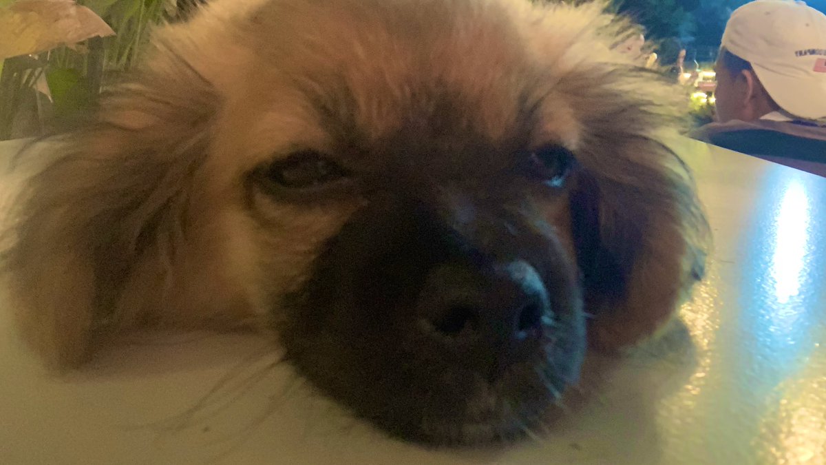 It's unfortunate when you find yourself in an environment where you shouldn't be.

Be careful because it can change your mindset.