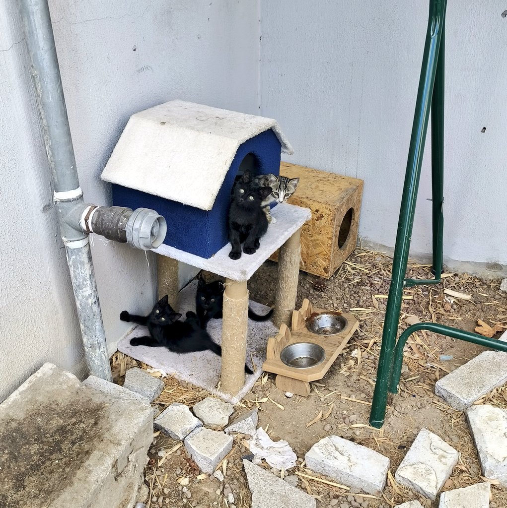 Bize lütfen yuva
Manisa merkez