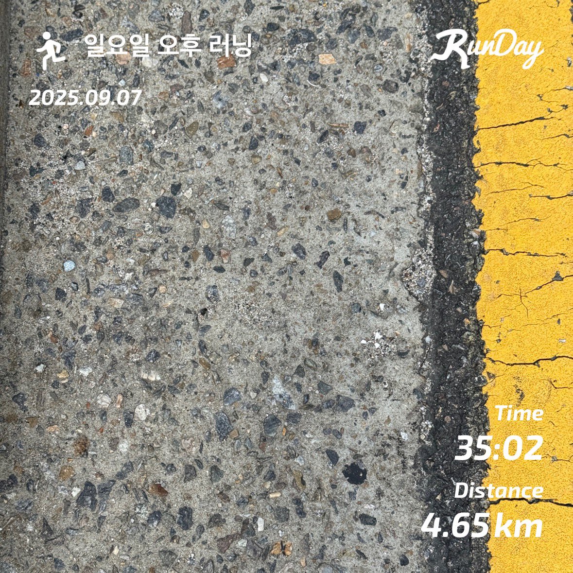 오랜만에 낮에 달렸어요 !