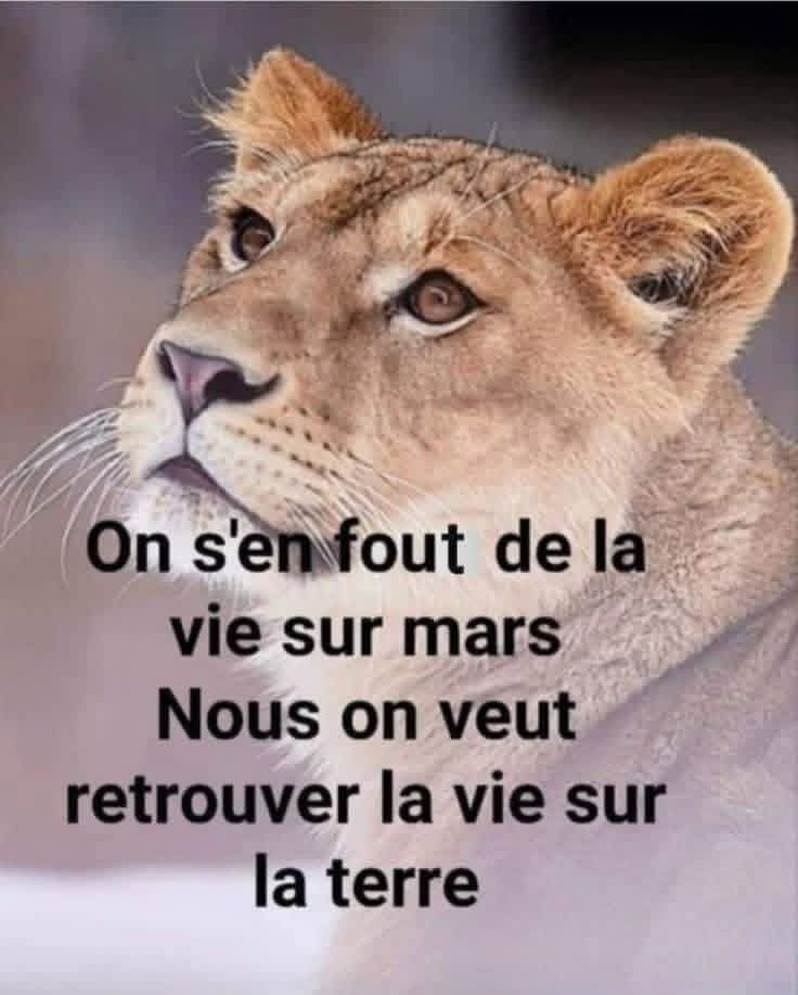 Adea Claude (@adeaclaude) on Twitter photo 