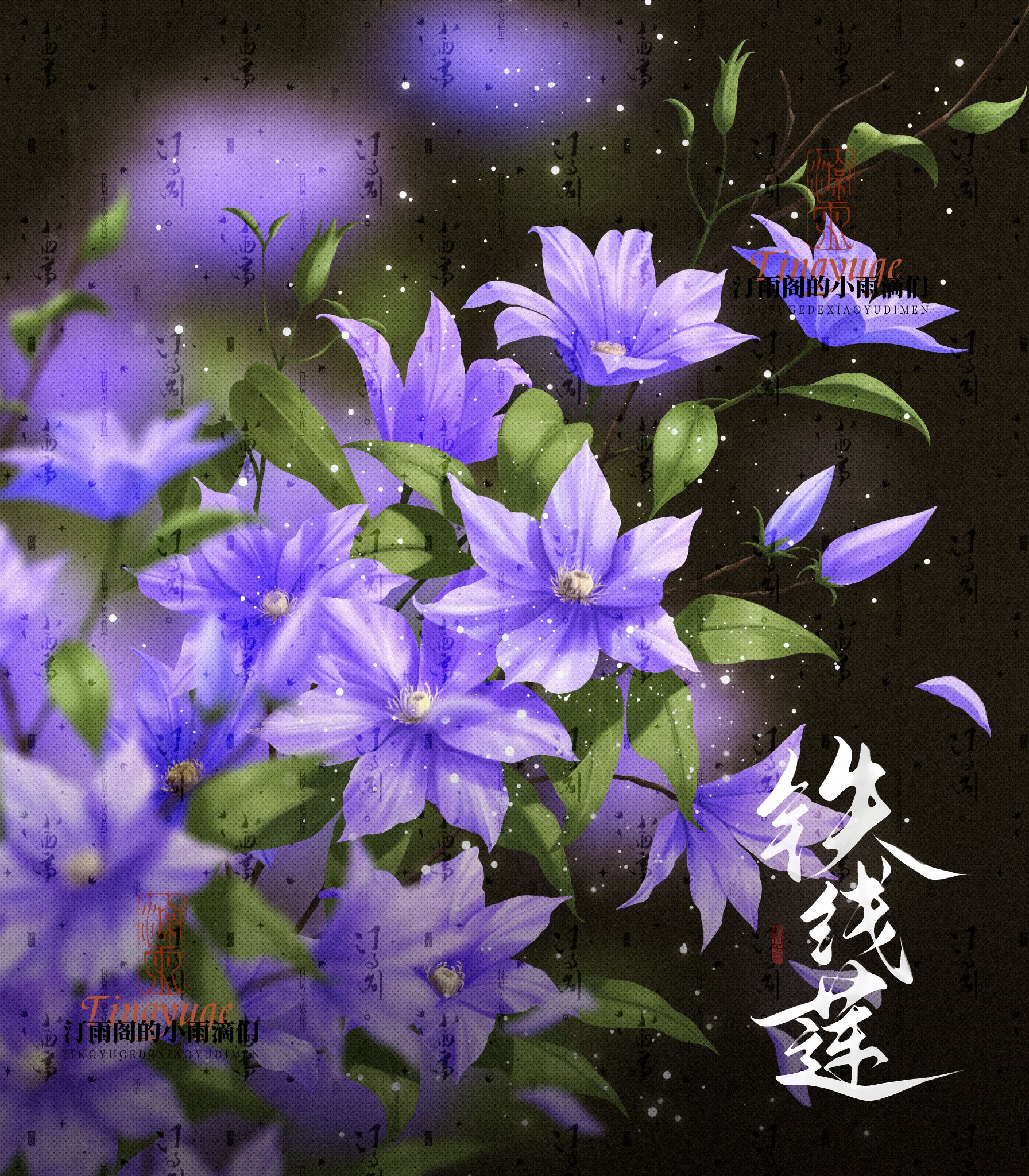 花卉圖45 小红书ID: 1400924453